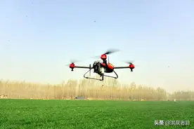 小麦春季应对不利因素，要做好“四防”图片