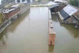 泡在水里6年的东北村庄：曾常年干旱，现成水田玉米霉烂堆积图片