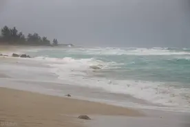 二年级下册语文教案《10 沙滩上的童话》图片