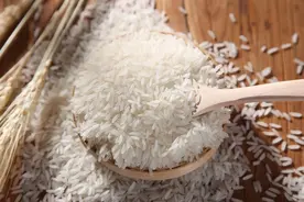 全国哪的大米最好吃？经过评比，这4个地方比较出名，快来看看吧图片