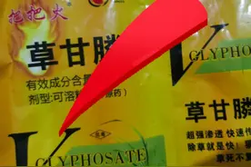 草甘膦死草不死根，精草铵膦除草剂来了！#除草剂配方图片