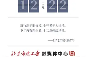 知晓｜-4~5℃，本周日将进行今年最后一期小客车指标摇号 道路停车下月新增补缴环节 元旦春节出行前先搜下这里图片