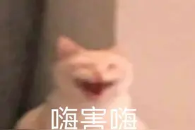 嗨害嗨 表情包来了哦图片