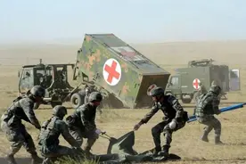 还有哪些军事单位，既不隶属于武警，也不隶属于解放军军种部队？图片