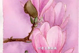 零基础也可以画水彩，教你画一朵玉兰花图片