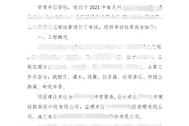 一次弄清什么是审计报告图片