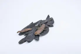 张锡纯医按：乡间田野中可怕的吸血虫水蛭，竟是一味非常好的中药图片