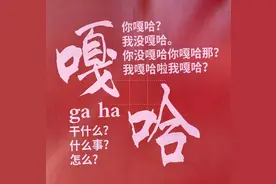 东北日常方言大全（黑龙江省绥化地区流行方言简单解释版）图片