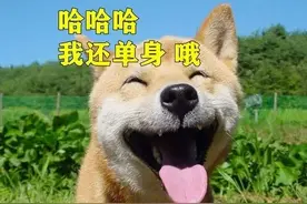 盘点交友软件陌陌中聊天的一些潜台词图片