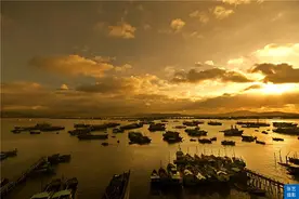 吴川千年博贺古港堆放古船木，被打造成非凡艺术品，化腐朽为神奇图片