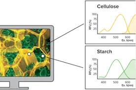 EbbaBiotech公司及主要产品介绍图片