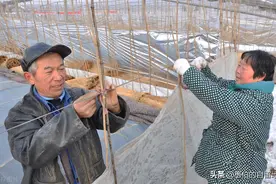 纪实：为了两个儿子的幸福，才五十多岁的夫妇，付出了生命的代价图片