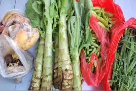 江西婆婆给儿媳妇送菜，被吐槽太寒酸不值钱，网友怒怼：不识货图片