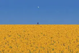 我的100本必读书目清单图片