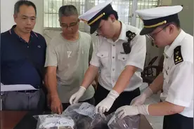 南宁海关移交涉嫌走私犀牛角8.94千克图片