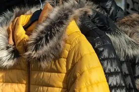 羽绒行情周报 | 鸭毛出货萎缩，下游需求不景，贸易战却再起图片