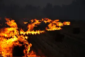 支持秸秆还田还是焚烧？老农:罚2000也愿意烧，你怎么看？图片