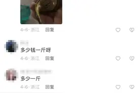 “童年阴影”价格猛涨！1500元一公斤，有人一晚赚两千图片