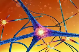 改善微循环、改善代谢，9种治疗糖尿病周围神经病变的药物要知道图片