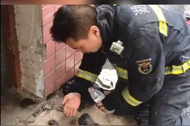 湖南湘潭 火场被困的狗狗获救后摇尾感谢消防图片