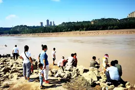 七月黄河泄黄排沙，再现流鱼奇观图片