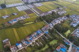 【农科智库原创】农业生产托管推进小农生产现代化的逻辑创新图片