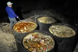 奸商提炼“尸油”制造食物？图片