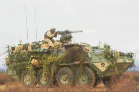 美军“斯特赖克”装甲车图片