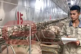 在牧原工作一年多，现在想离开了图片