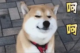 甲醛靠开窗通风，真的能解决问题吗？开窗通风了室内还有甲醛吗图片