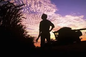 “农民”也可以干监理，中国监理行业的悲哀图片