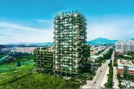 碧桂园女总裁杨惠妍：嫁清华才子，国内捐款数10亿，低调行事图片