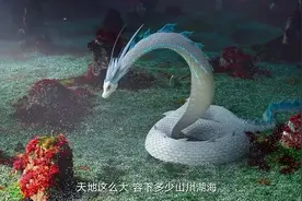 云南曲靖现身1米“白蛇”！盘在屋门口不走，为何称为百蛇之王？图片