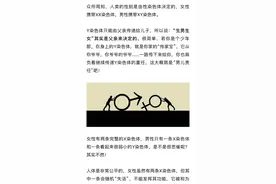 生男生女怎么决定？看完这篇文章你就知道了图片