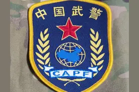 徽章欣赏（武警臂章一组）图片