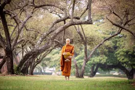 为什么说孙悟空最高光的时刻，不是大闹天宫，而是在灭法国？图片