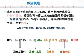 E6E7高表达，竟导致宫颈癌！图片