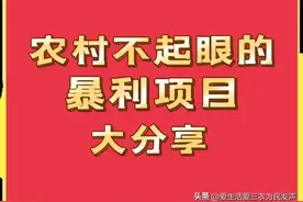 不起眼，但是很适合农村人做的“暴利”项目大分享！图片