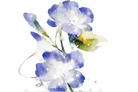 文案#中药#告白——莲心一片西河柳，又半夏，相思透图片