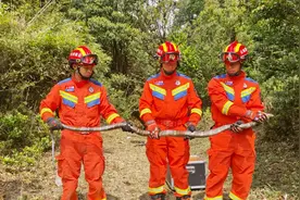 后怕！云南一幼儿园附近发现2.8米长眼镜王蛇，还有30枚蛋…图片