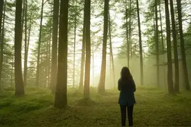 双相女生对声音敏感，无法集中注意力，催眠下找到的创伤令人意外图片