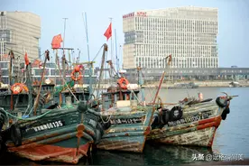 “噱头捧得”，青岛洄游鲅鱼上岸45一斤，春天价格翻番让人迷惑图片