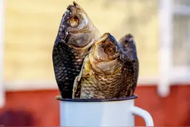 为什么因纽特人完全吃肉，不吃蔬菜，却看不到坏血病呢？图片