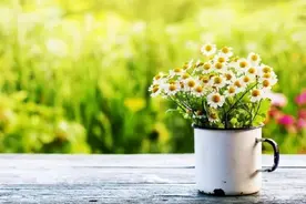 看清一个人，打开微信就行了图片