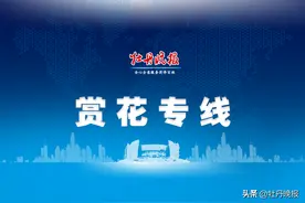 牡丹节会期间，菏泽公交将增开3条赏花专线！图片