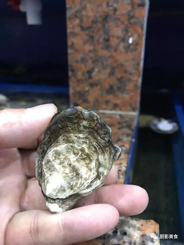 花胶选几级的 花胶等级顺序鱼胶排名大全