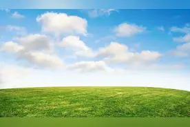 夏（随笔·散文）图片