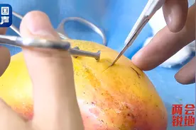 给芒果“切阑尾”、给橙子“切胃”……这个“水果医生”火了图片