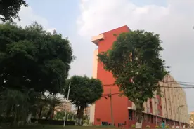 何以解忧，唯有发愤图强图片