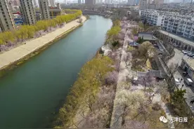 津城这里桃花盛放！明天再冲20℃+，周末再迎冷空气......图片